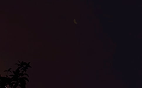 2026年实用的美好的晚安微信问候语汇编70条