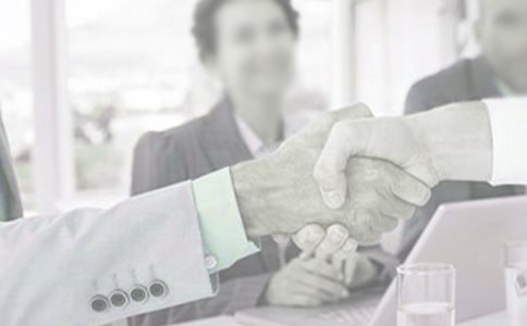 实用的百合作文[精华10篇]