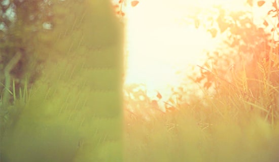 简洁的唯美意境句子锦集48句