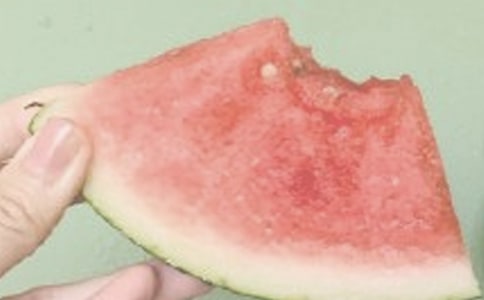 夏日趣事作文【优】