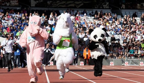 运动会作文8篇[通用]