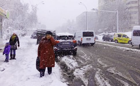 精选下雪了小学作文汇总六篇