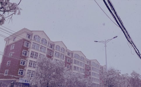 (精华)冬日的阳光作文9篇