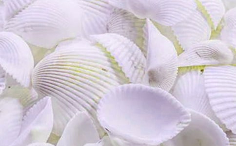 贝壳作文（精选9篇）