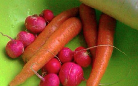 大班健康活动教案 15篇