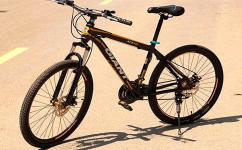 未来的自行车作文经典【8篇】