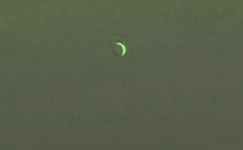 （优选）月亮作文300字10篇