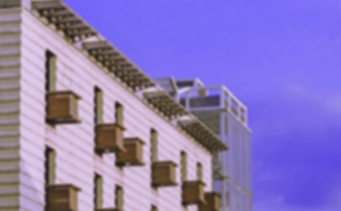 未来的房子作文[精选13篇]