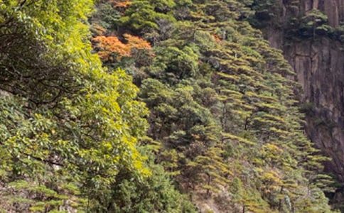 （优选）安徽的黄山作文