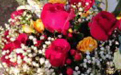 (热)玫瑰的作文300字6篇