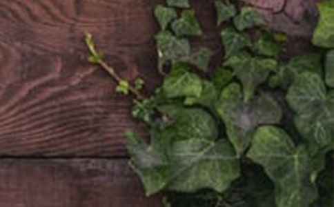 (优选)和谐社会作文