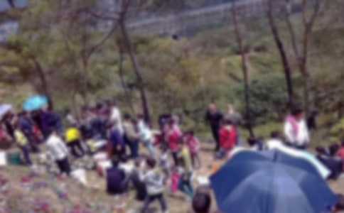 有关扫墓作文300字五篇