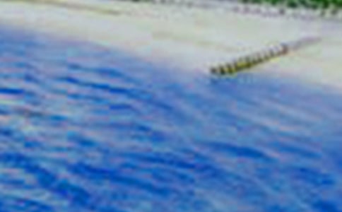 三年级美景作文300字三篇