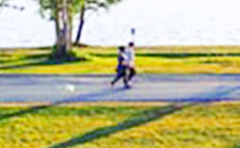 【必备】公园写景作文300字锦集六篇