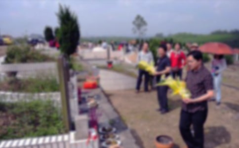 扫墓的作文300字10篇