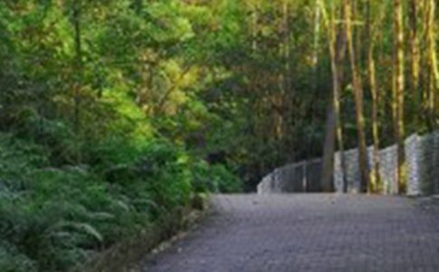 爬山教案模板汇编10篇