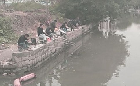 钓鱼启示作文实用4篇