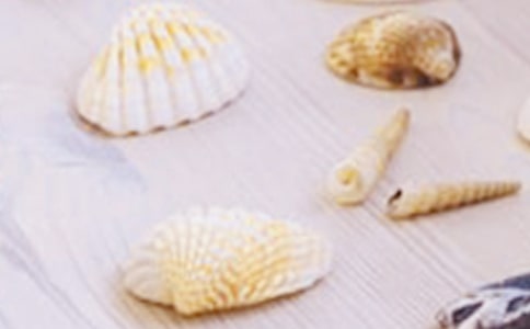 贝壳作文10篇【优秀】