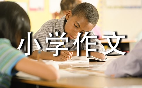 【推荐】树叶小学作文300字六篇