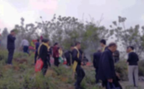 扫墓作文300字合集7篇