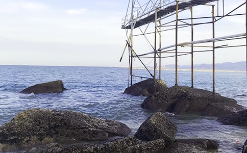 大海的作文精华【4篇】