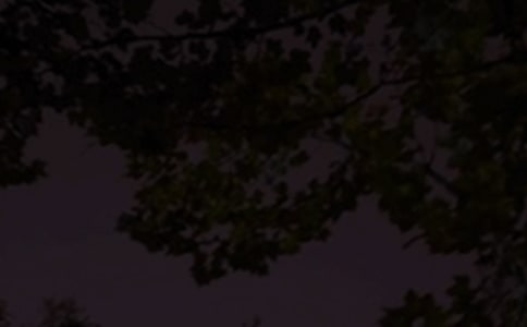 经典朋友圈晚安短句汇总（精选165句）