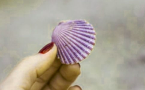 (优选)捡贝壳作文9篇