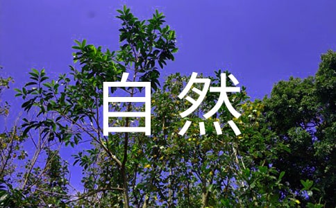 大自然的作文300字【精品5篇】