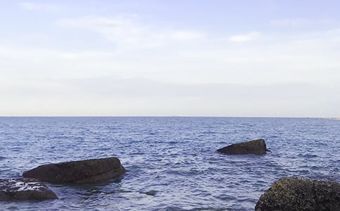 写大海的作文精品(3篇)