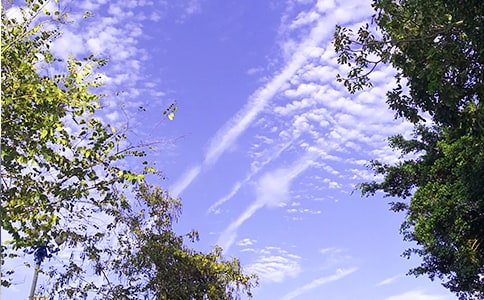 【必备】早安问候语语录26条