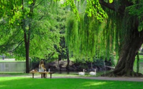 公园变化的作文9篇[通用]