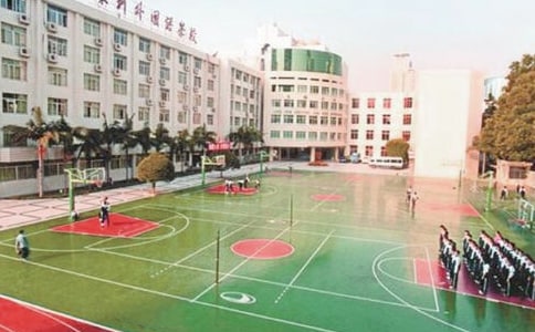 校园的景物作文经典(6篇)