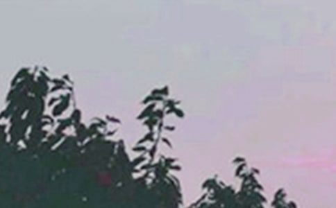 简单的每日一签早安QQ问候语22条