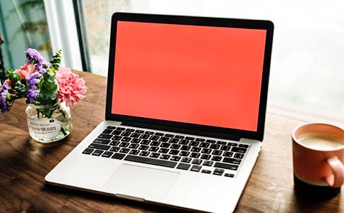 [热]电脑迷哥哥作文5篇