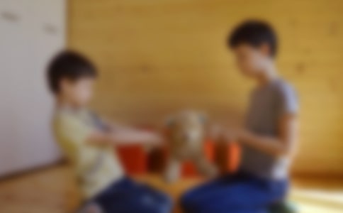 哥哥作文300字7篇【经典】