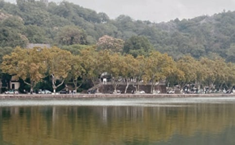 西湖的作文10篇【精】