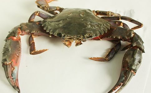 捉螃蟹趣事作文