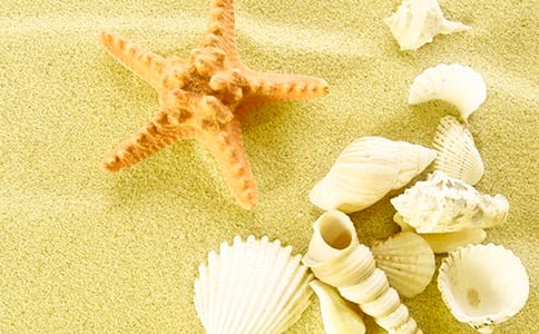 捡贝壳作文(精品9篇)