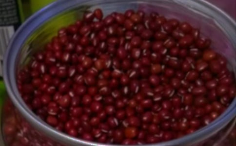 红豆的观察日记(7篇)