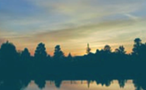 关于三年级傍晚作文合集6篇