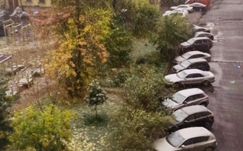 【精选】下雪了小学作文汇总十篇