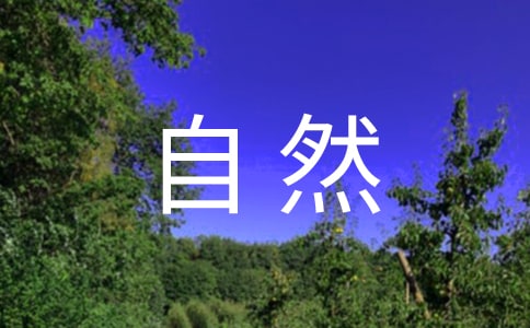 大自然作文300字【合集】