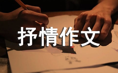 抒情作文600字8篇(热)