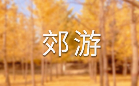 一次郊游作文（通用）