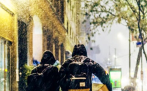 实用的下雪了小学作文汇编9篇