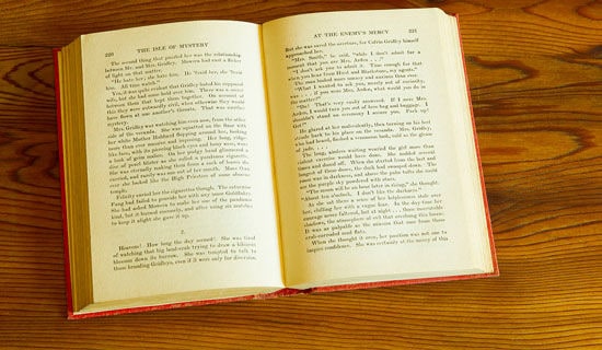 （必备）阅读的作文300字