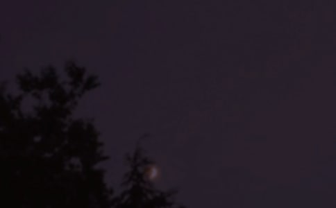 简洁的温馨的晚安问候语语录32条