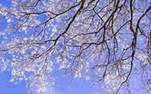 那个冬天很温暖作文(9篇)