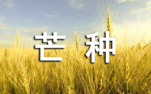 芒种微信朋友圈说说40句精选