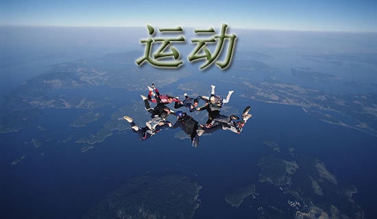 运动作文300字[优选9篇]